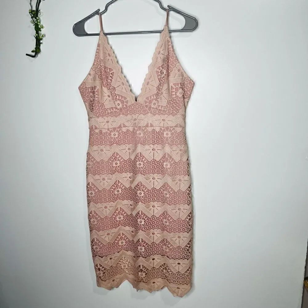 Ark & Co Pink Blush Lace Crochet Scallop Edge Cocktail Dress NWT!